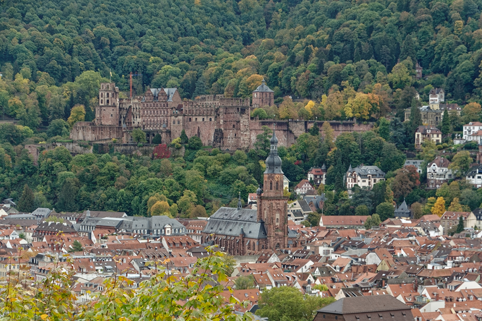 Schloss Heidelberg