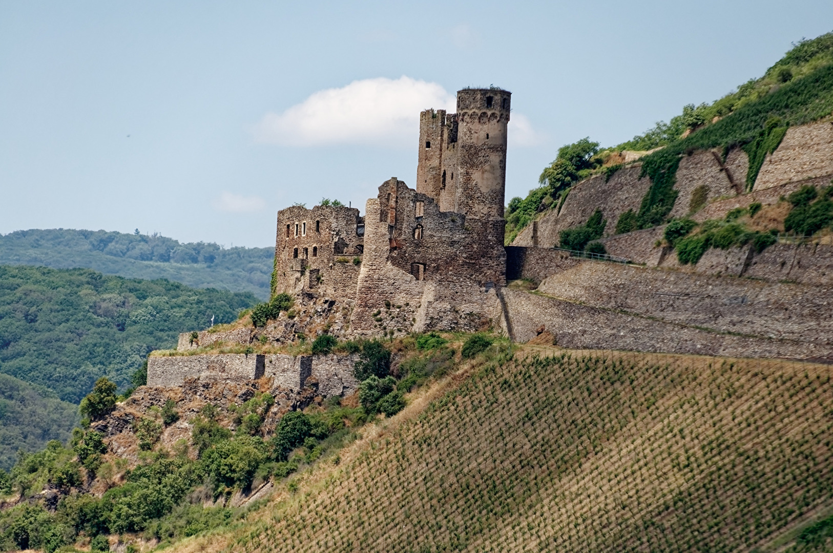 Burg Ehrenfels