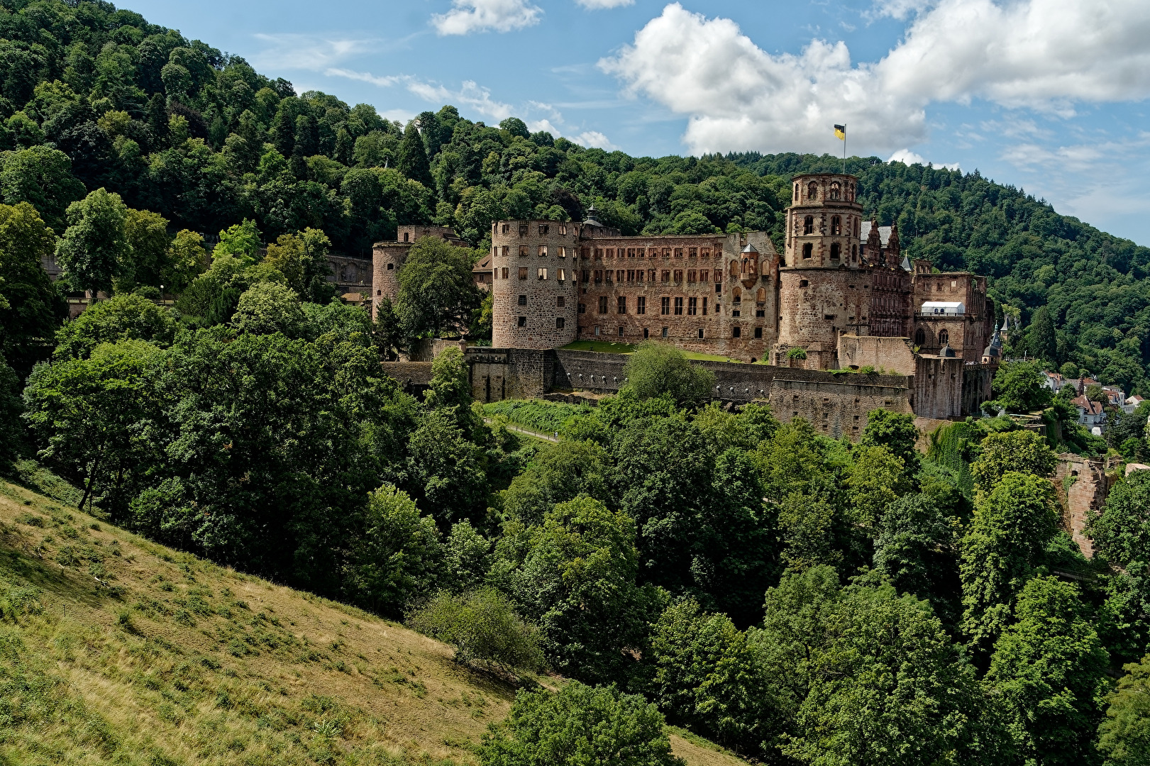 Schloss Heidelberg