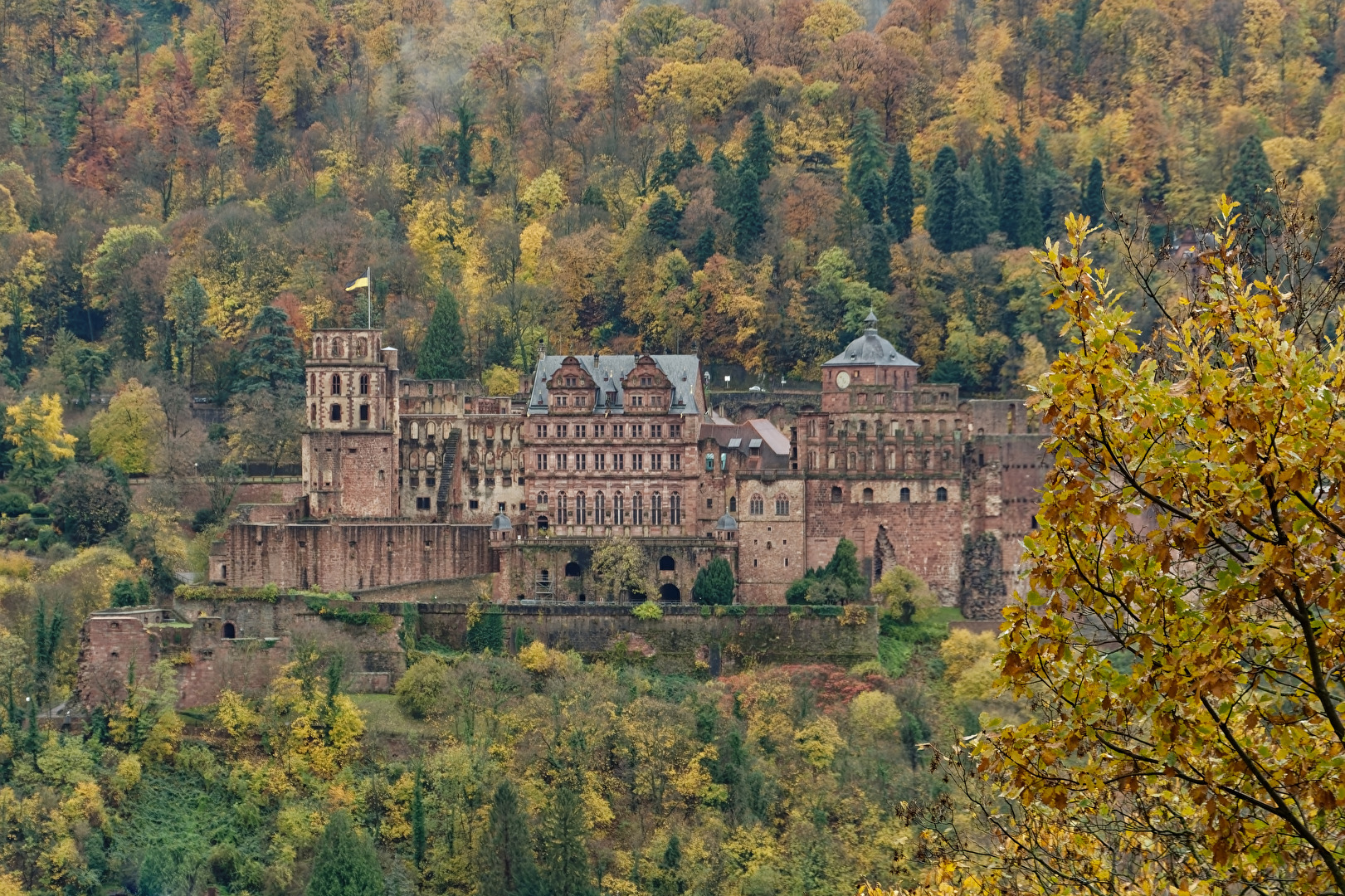 Schloss Heidelberg