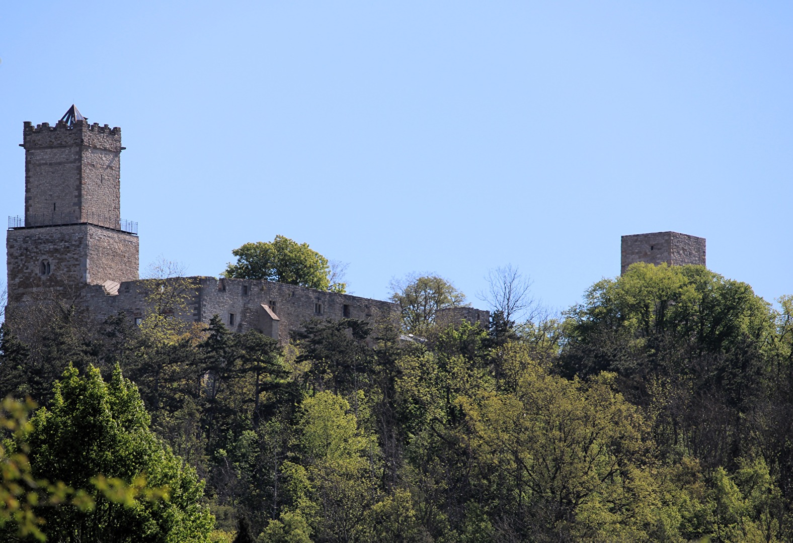 Die Burgruine Eckartsburg