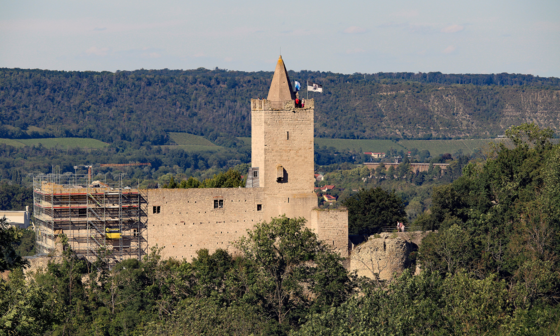 Die Rudelsburg