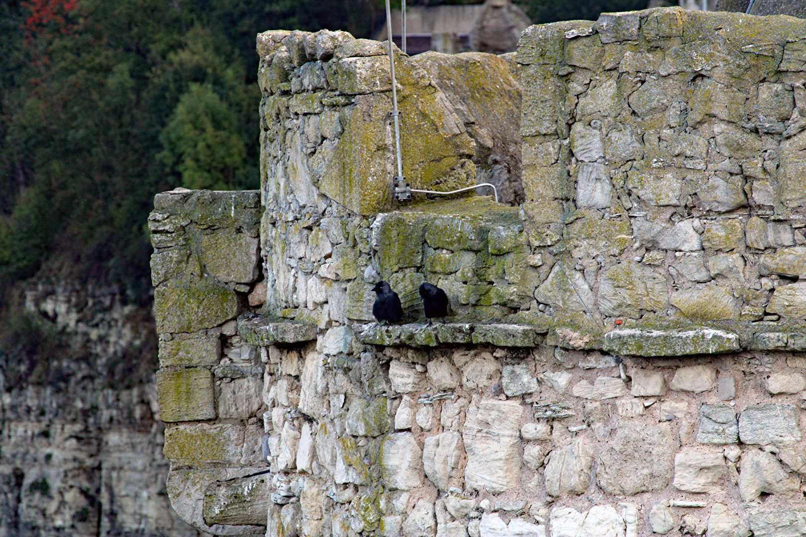 Die neuen Burgherren