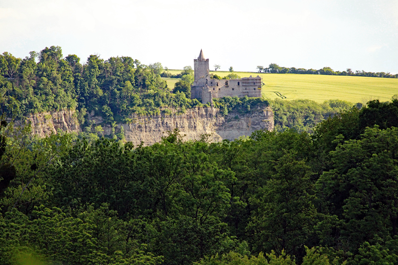 Die Rudelsburg