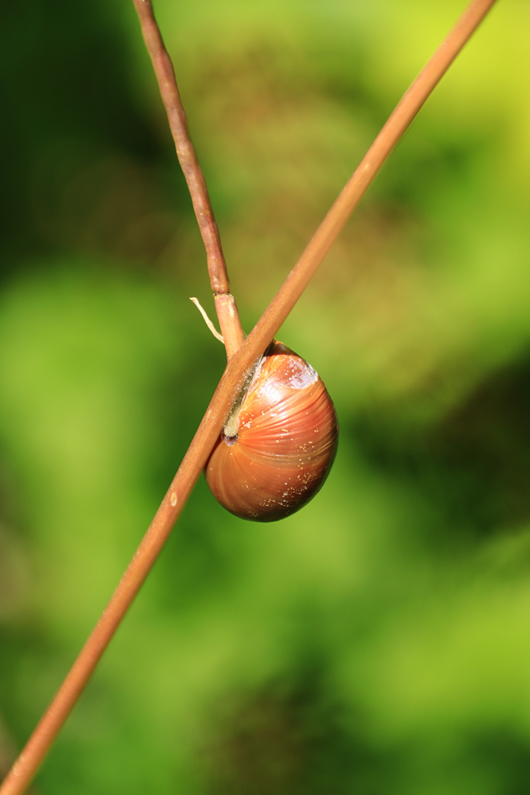 Auf "Wanderschaft"