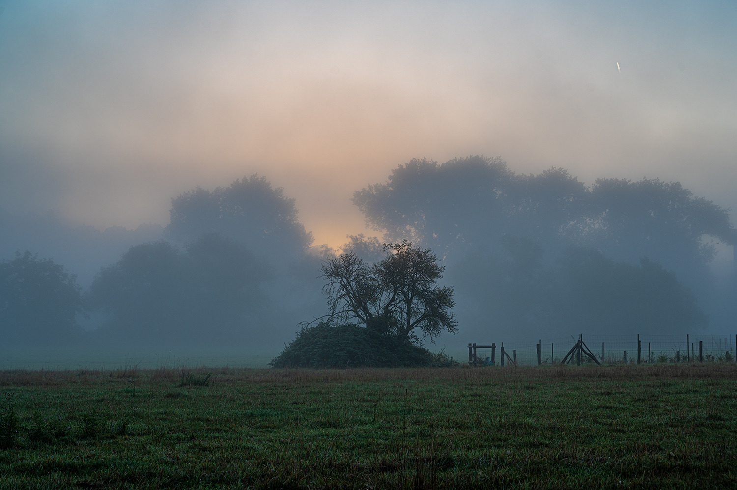 Morgennebel