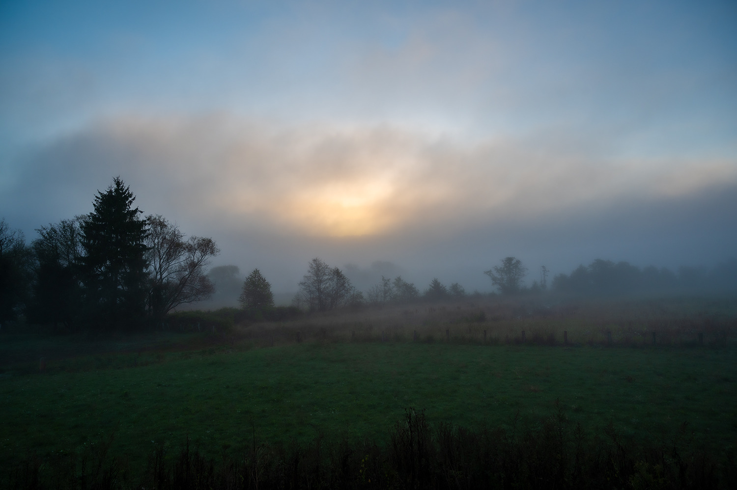 Morgennebel