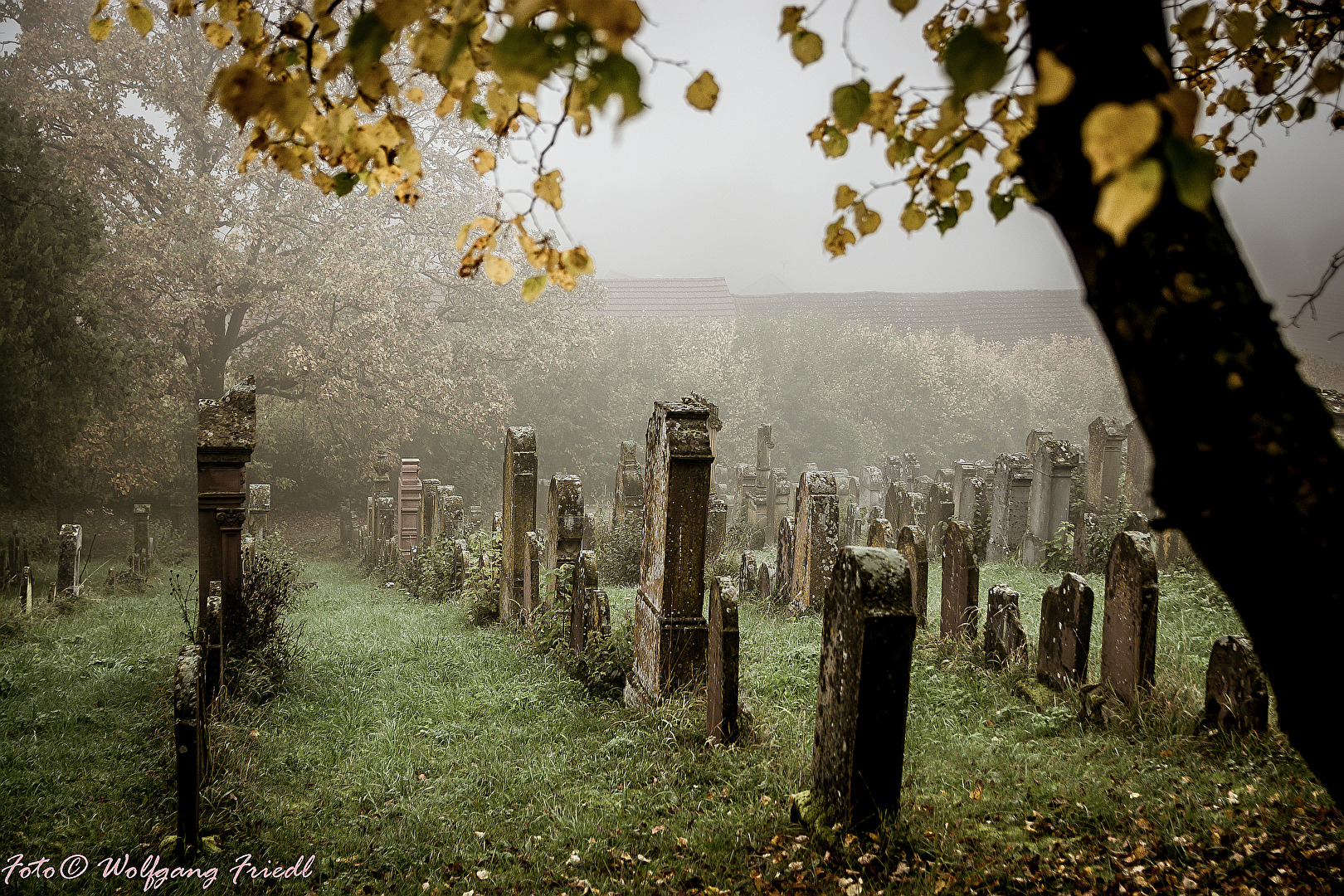Herbst