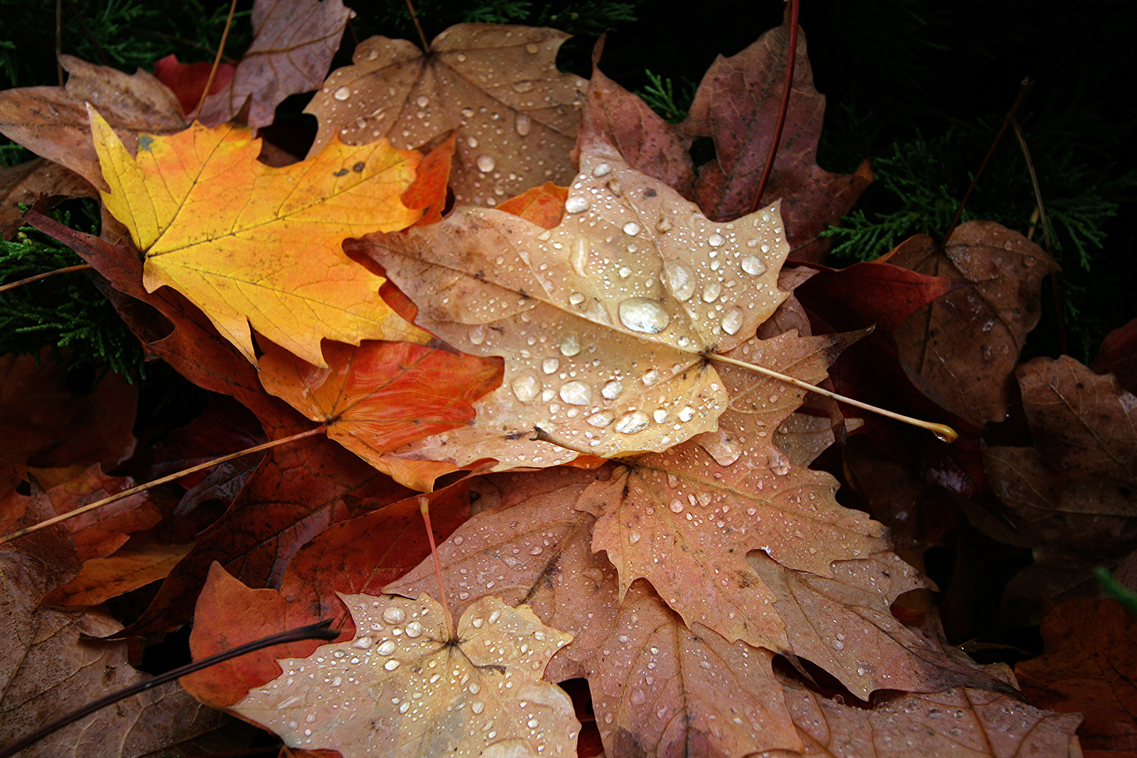 Schmudelwetter