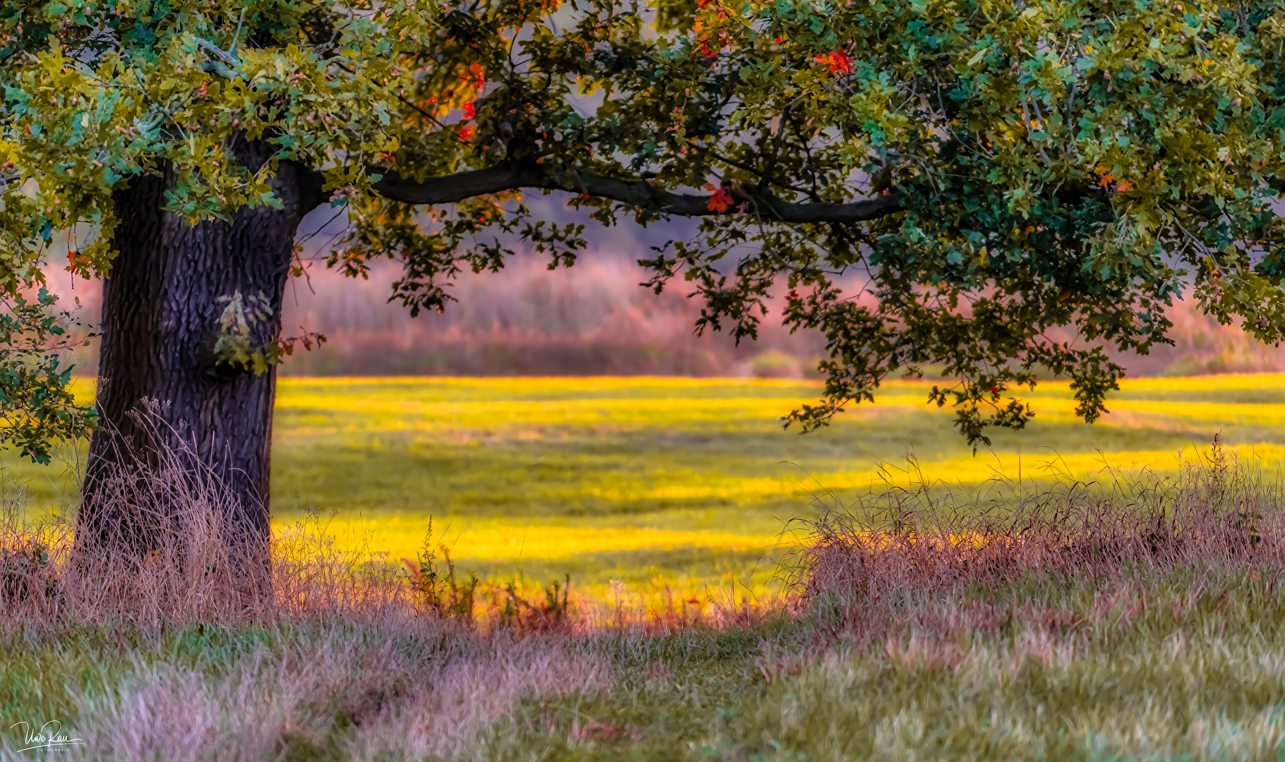 Herbst