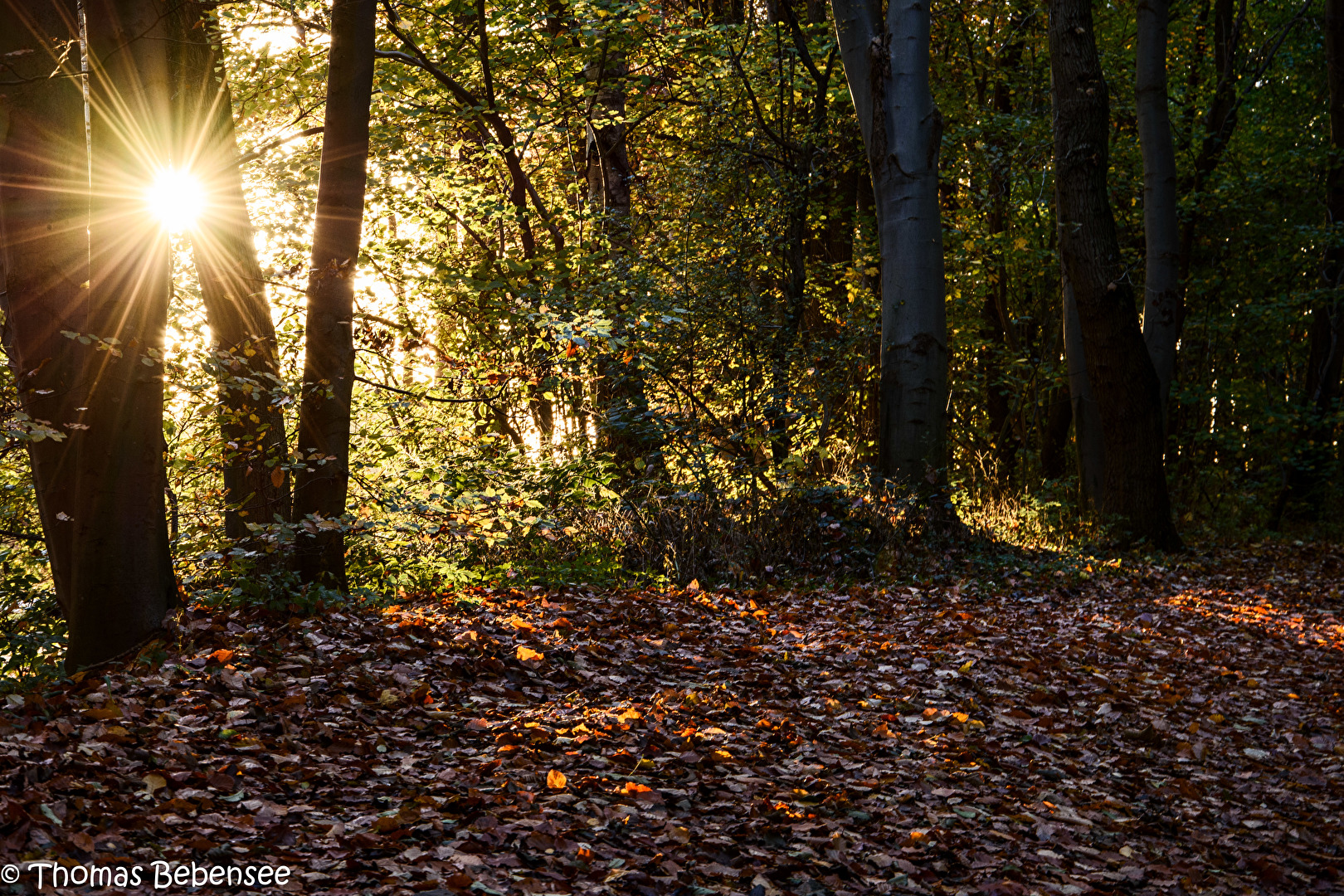 Herbststimmung in Kiel