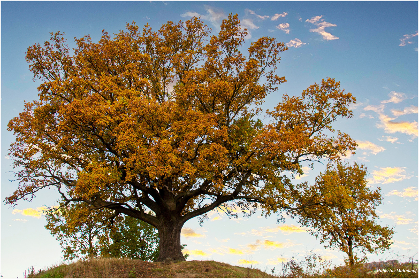 Herbst