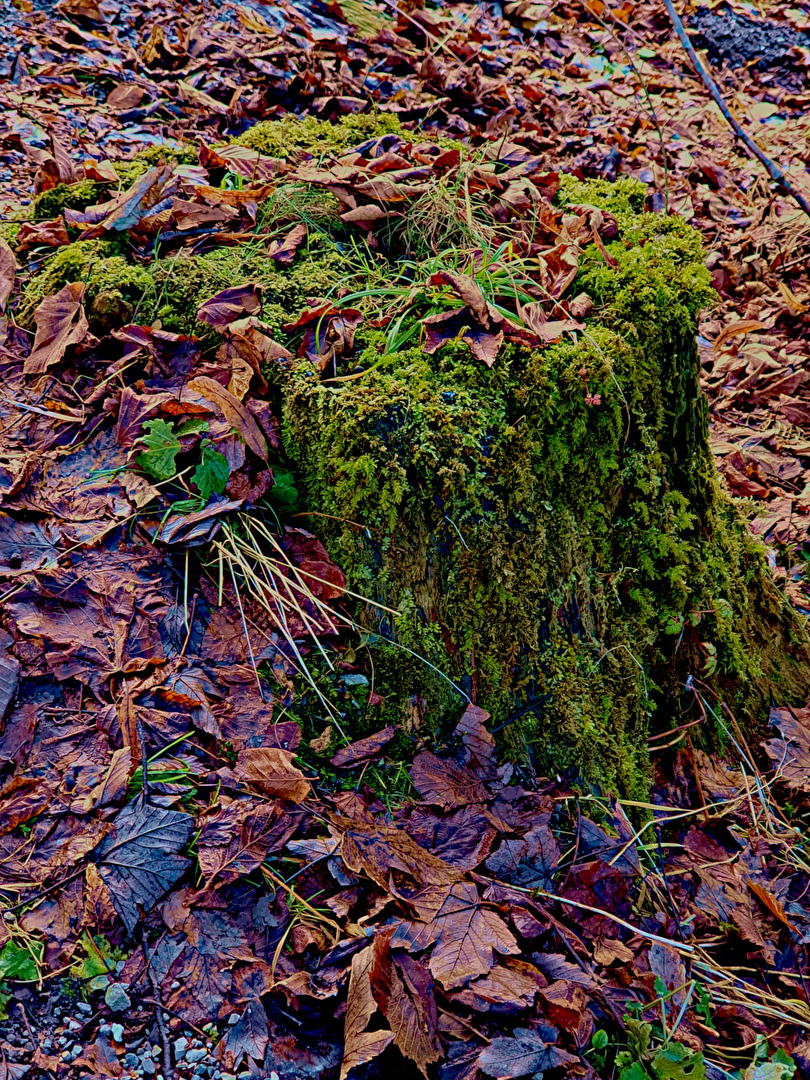 Herbst