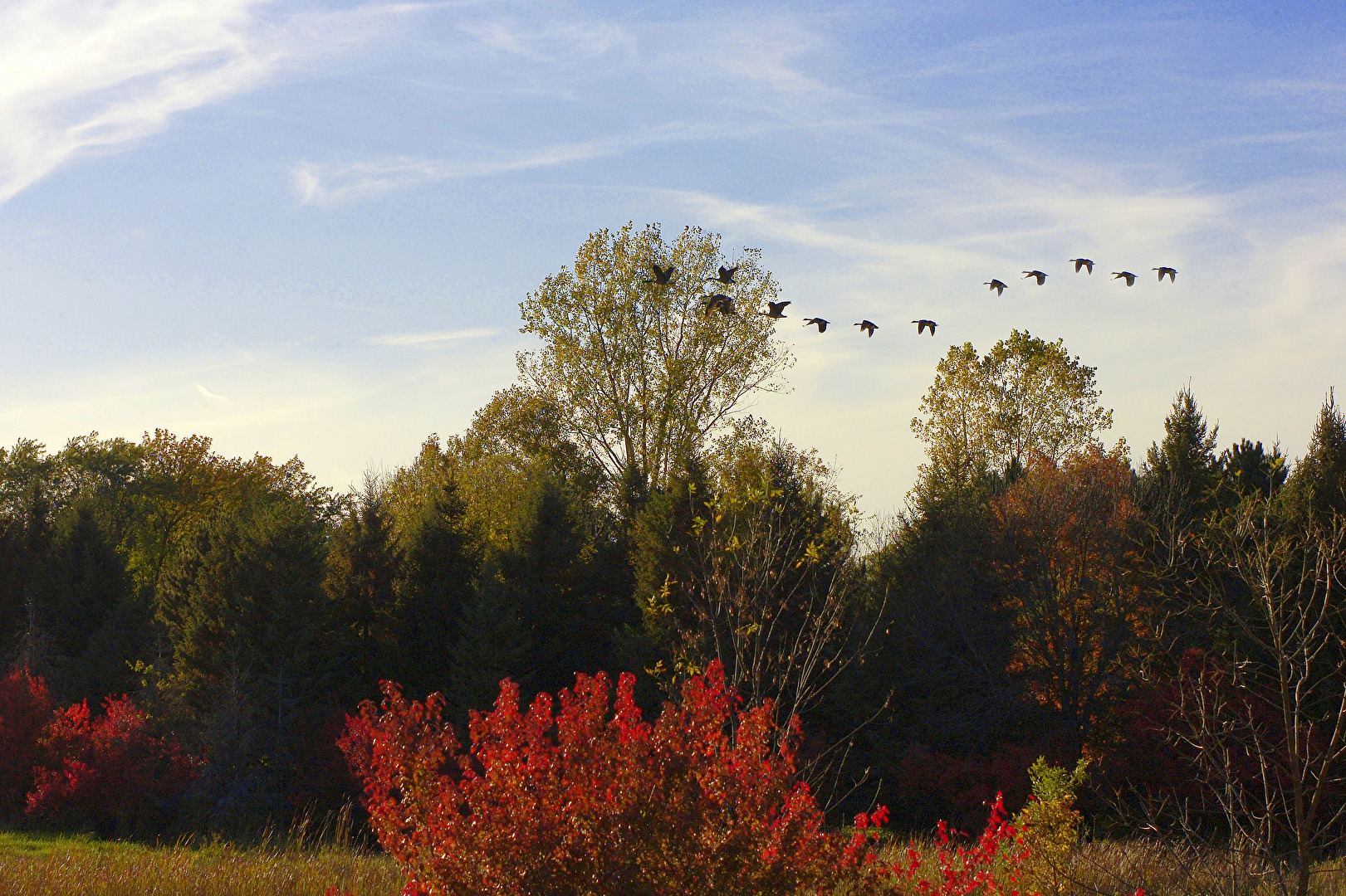 Herbst in Minnesota