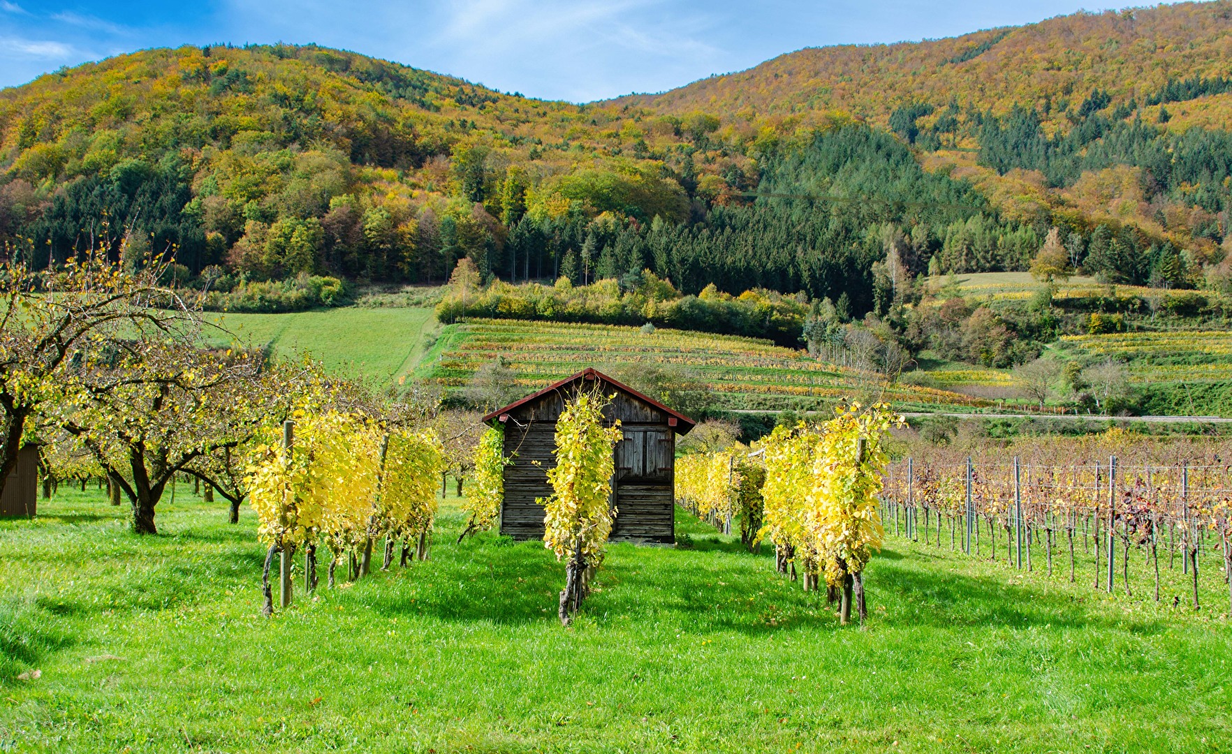 Wachau