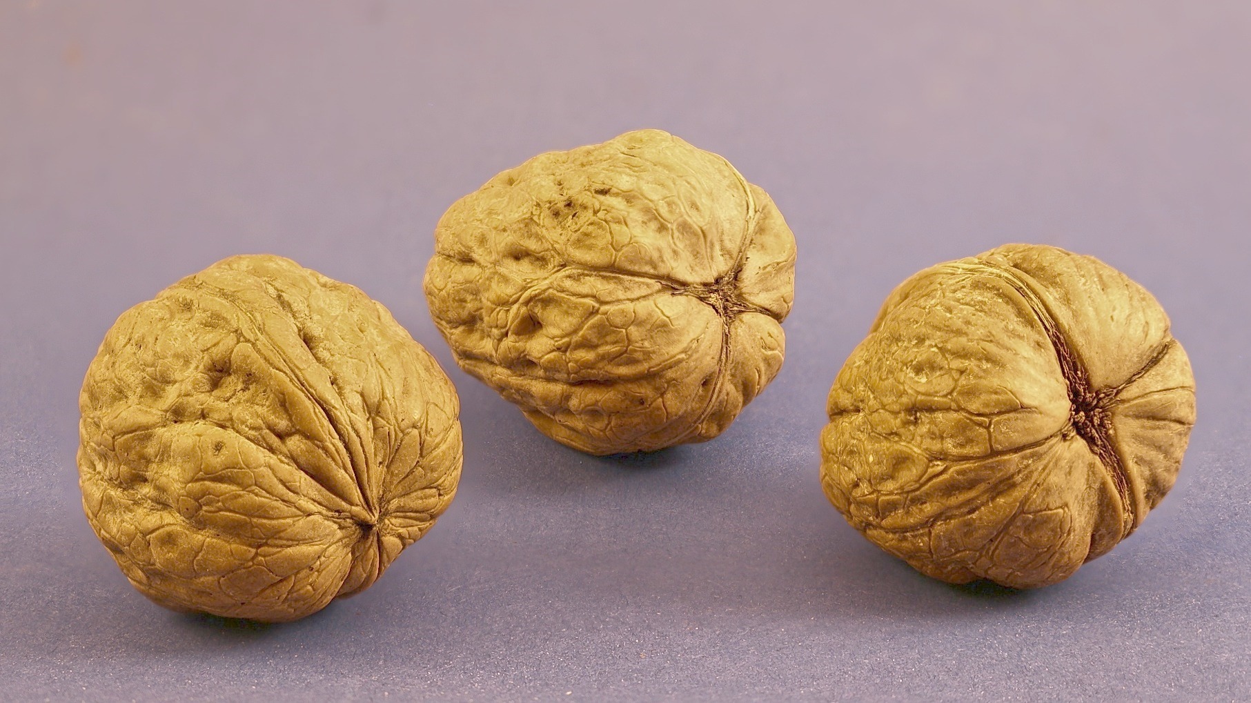 Drei Walnüsse für... die selbstgebaute Lichtbox