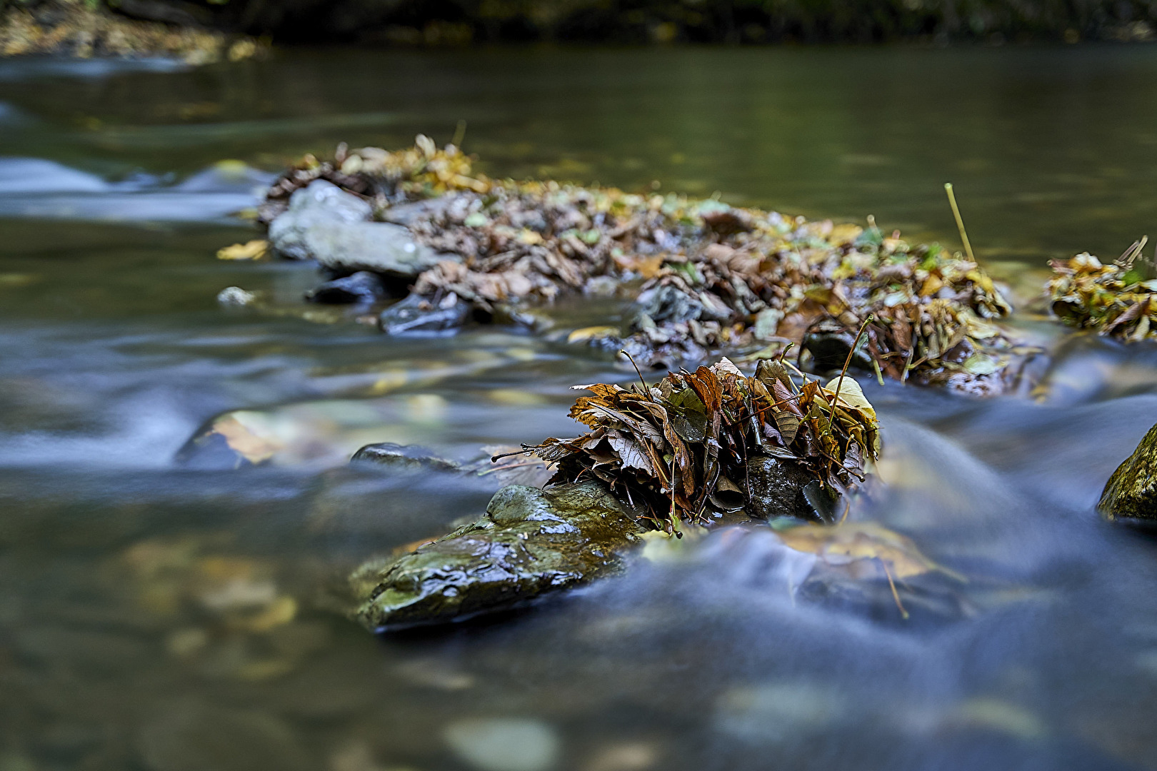 Herbst - An der Schwarza