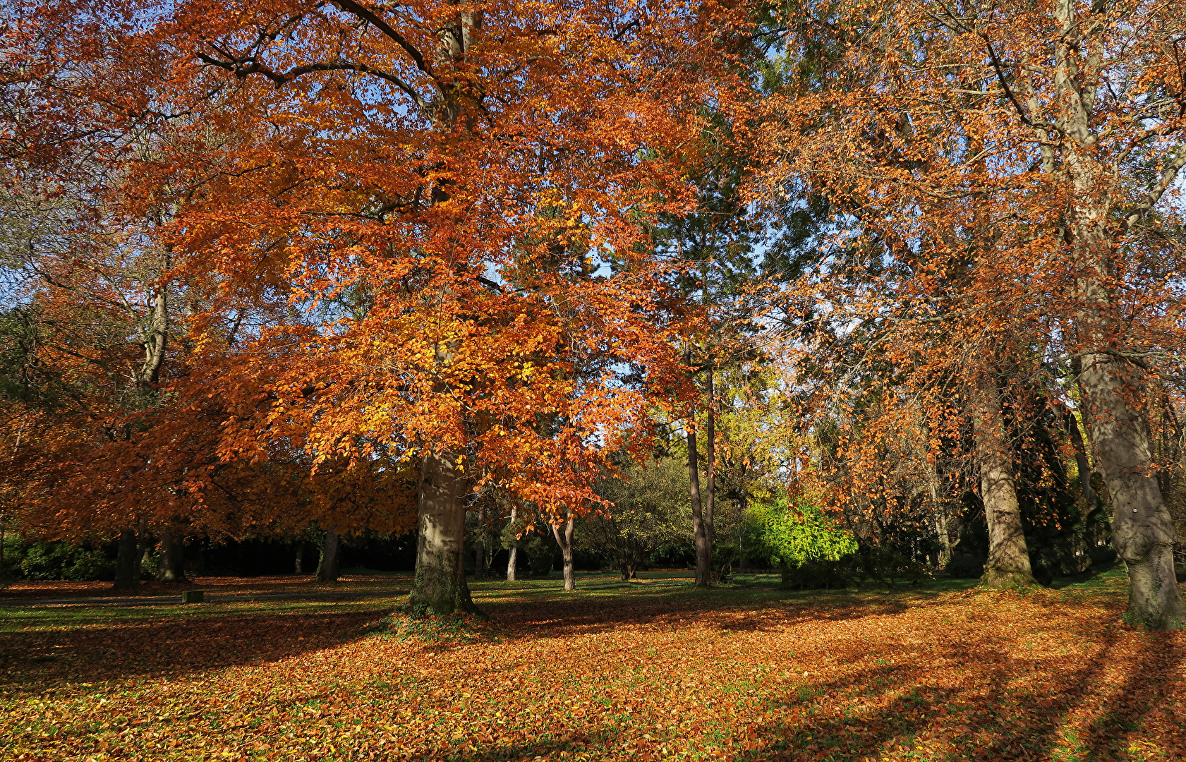 Herbstfarben