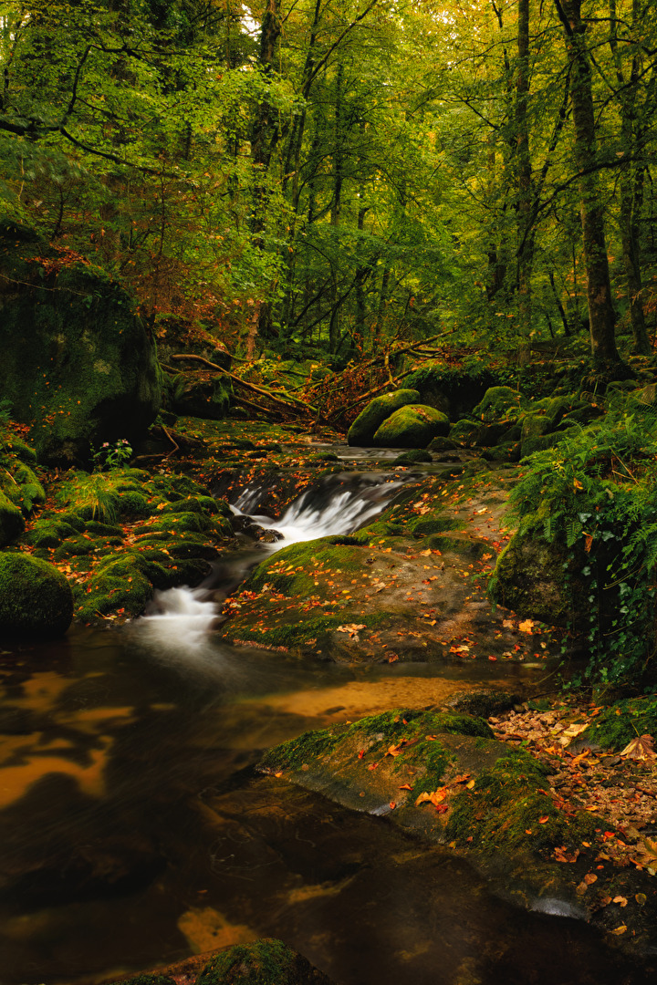 Der Herbst hält Einzug