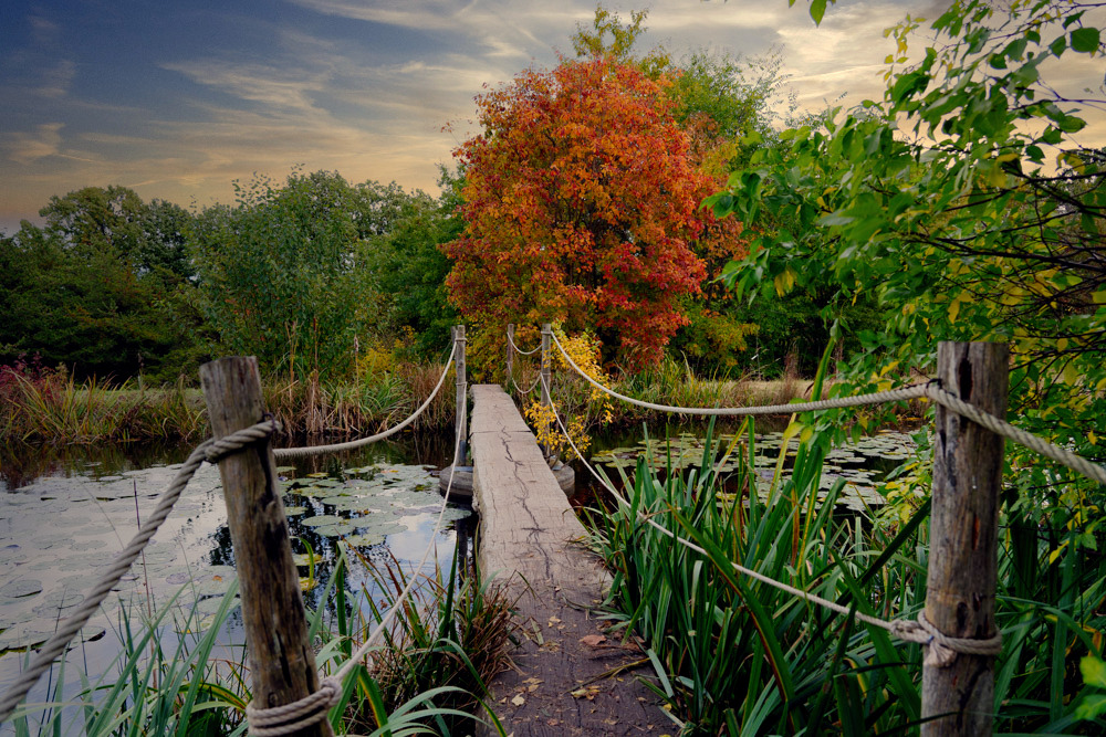 Forst Botanischer Garten Tharandt