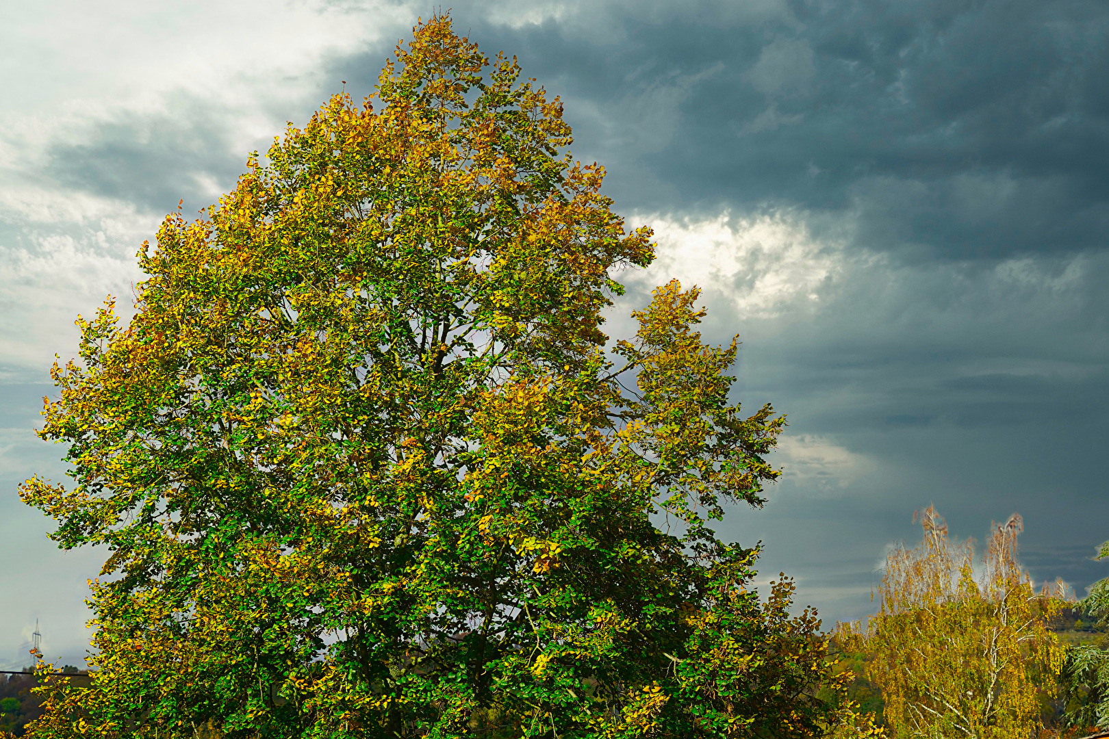 Herbst pur