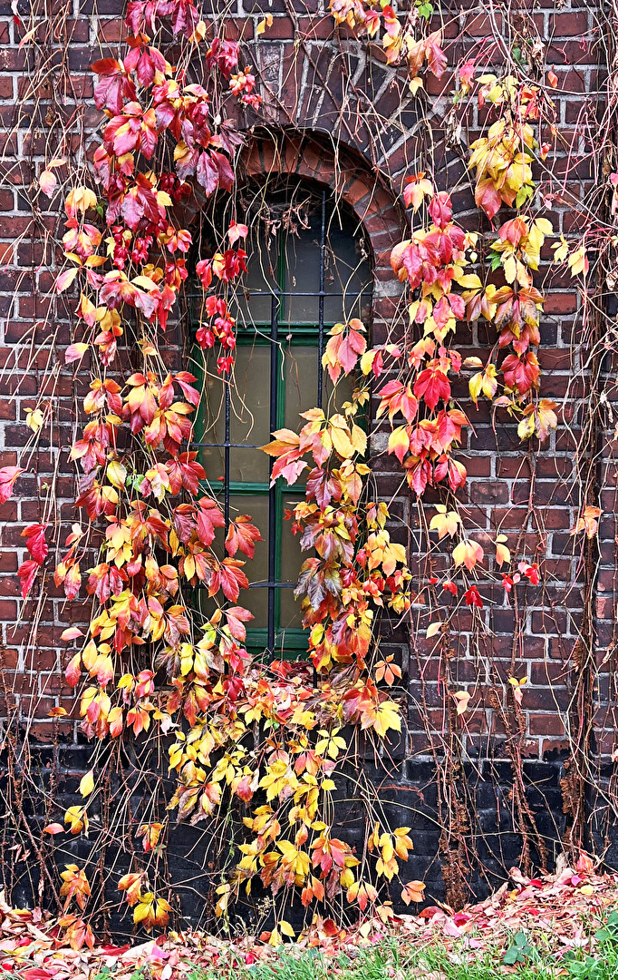 Herbst