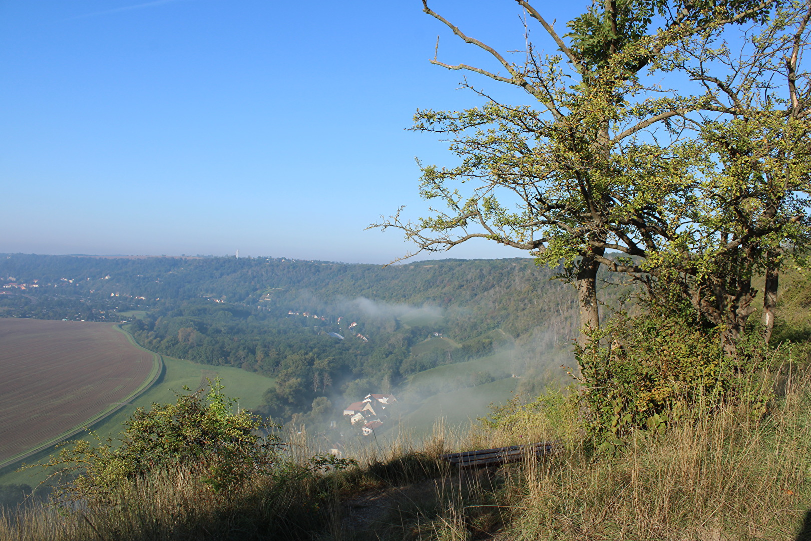 Die Saalehäuser im Morgennebel