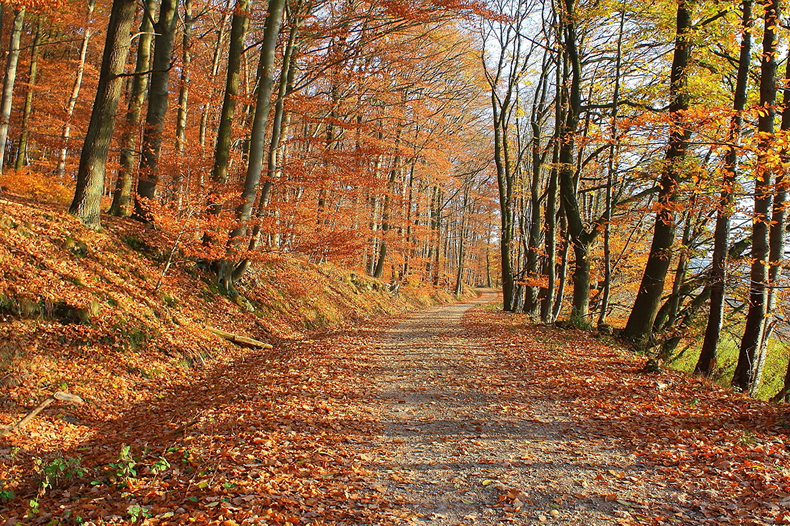 Herbst