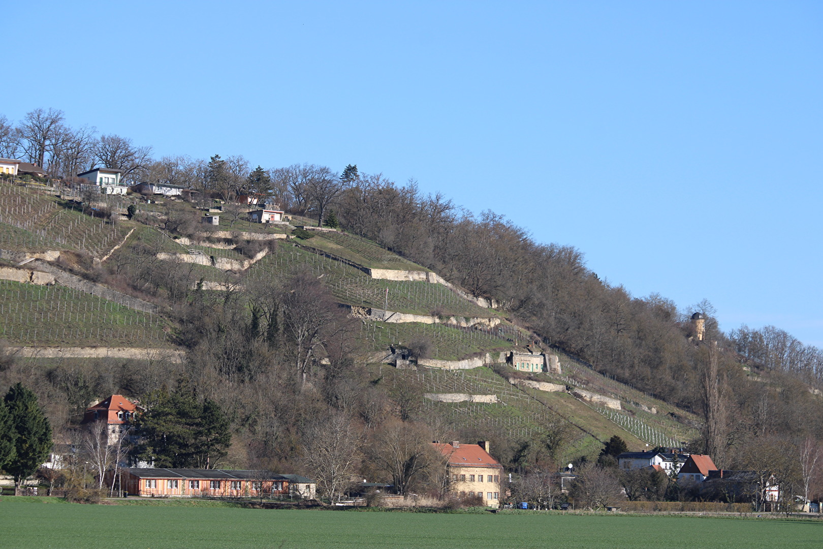 Die Weinstraße in Roßbach