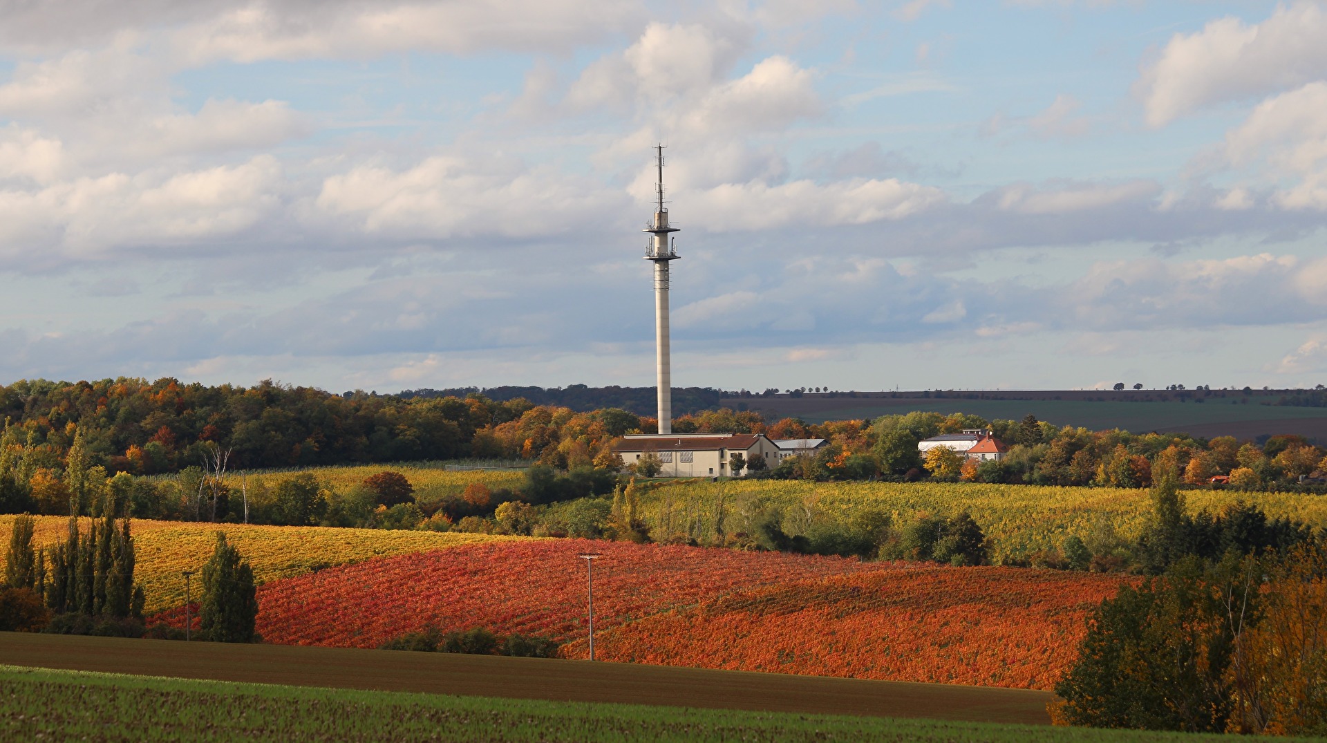 Herbst am Roten Berg