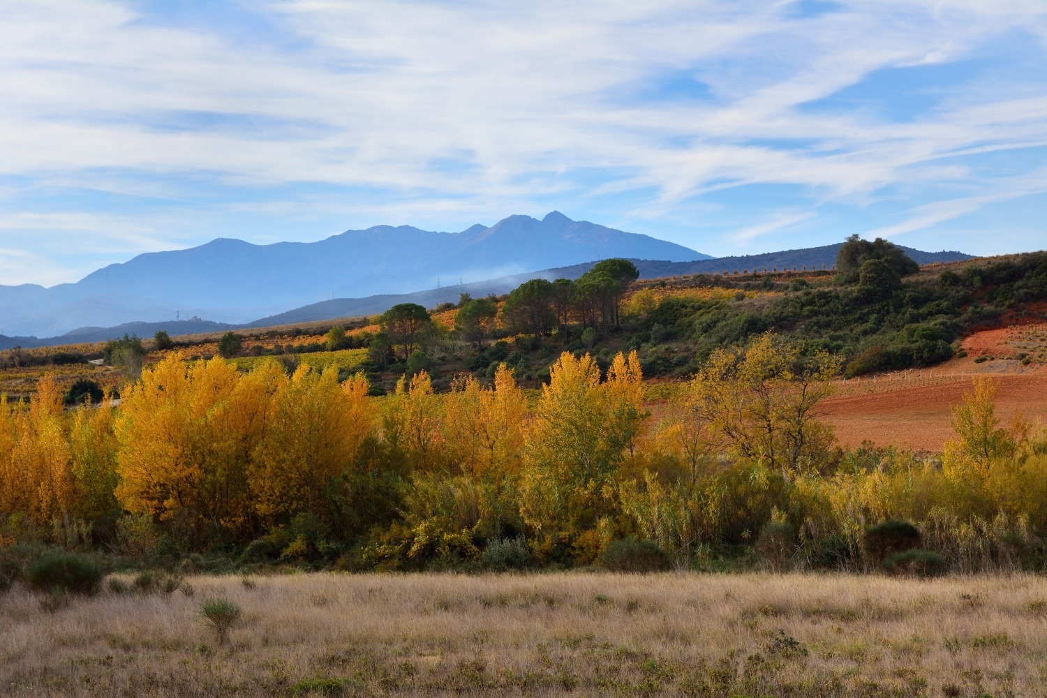 Herbst in den Corbières