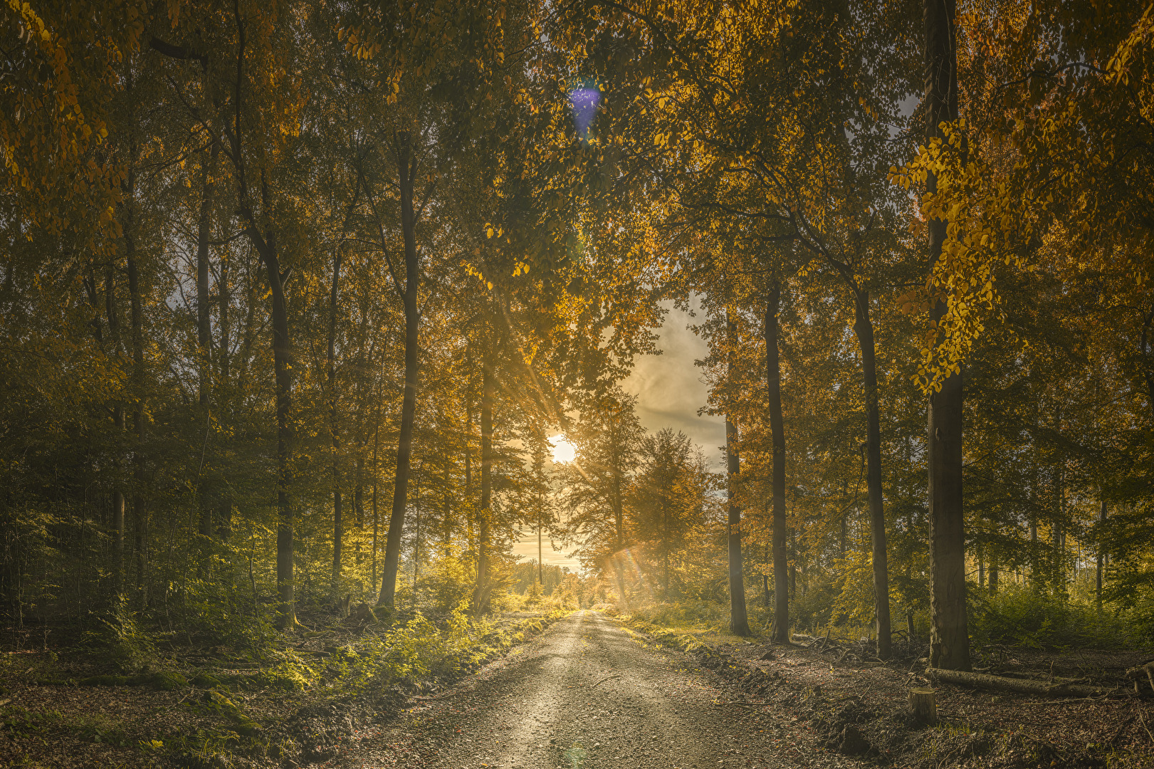 Na halt Herbst