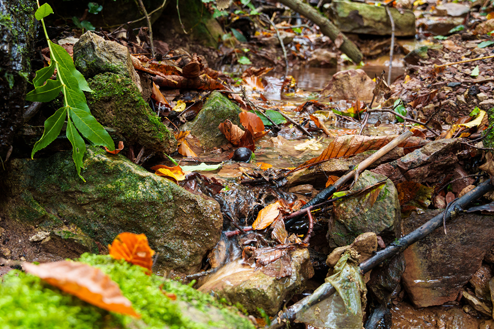 Wasserlauf im Herbst
