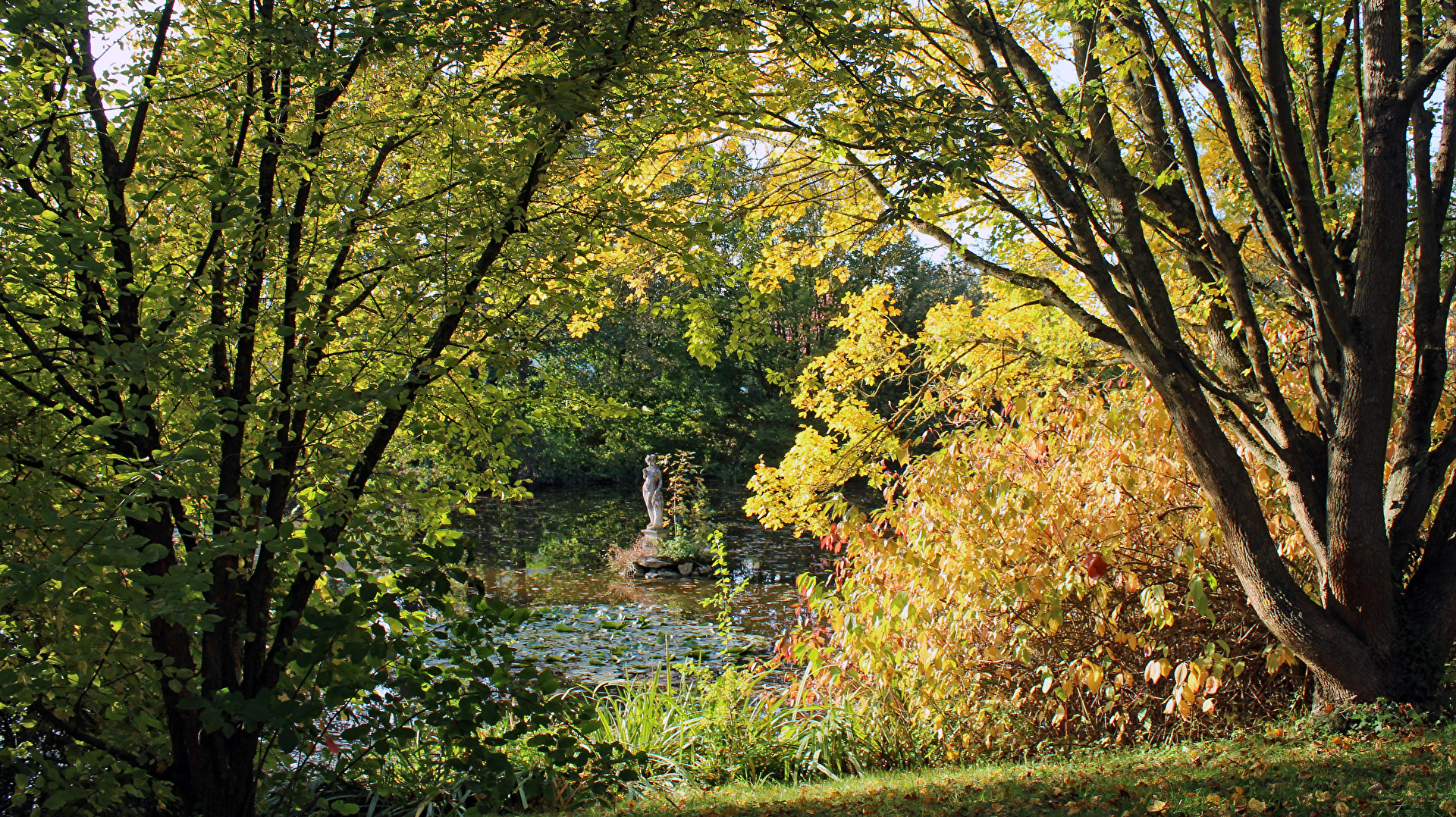 Ein kleiner Teich im Herbst.