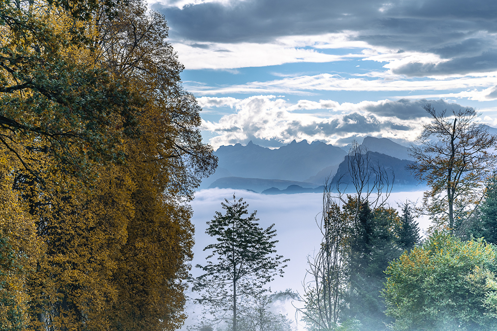 Herbst
