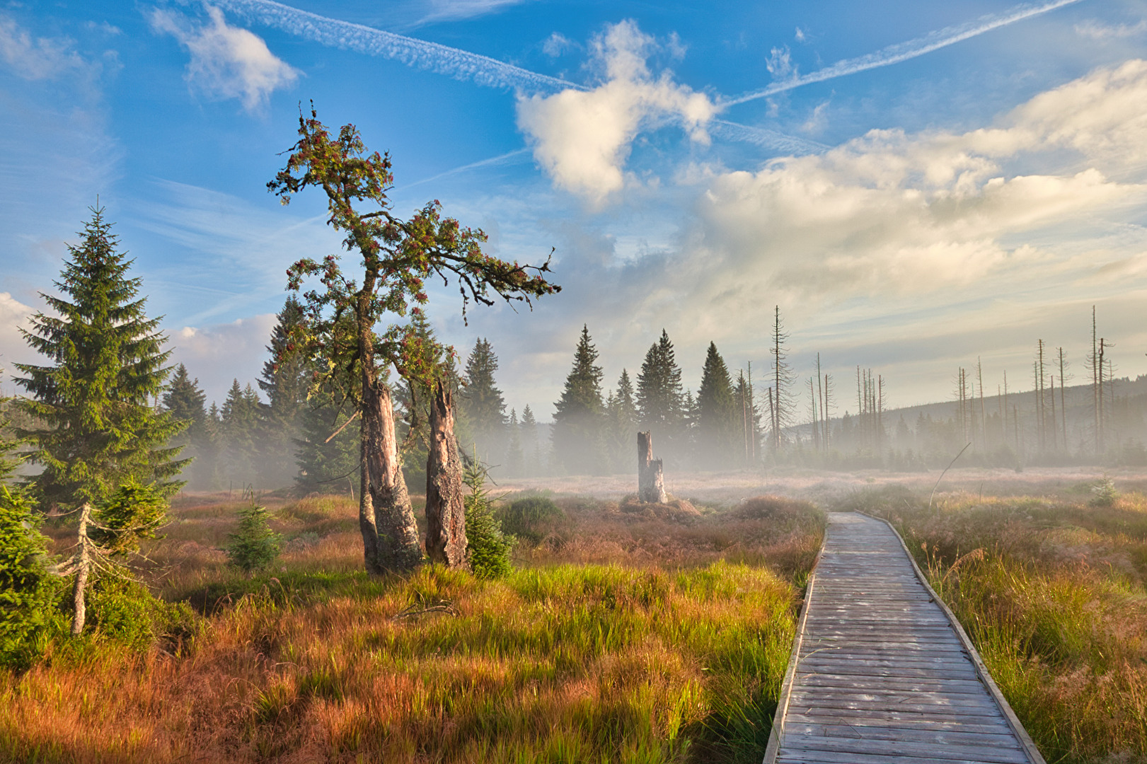 #Herbst - Wohin der Weg auch führt...
