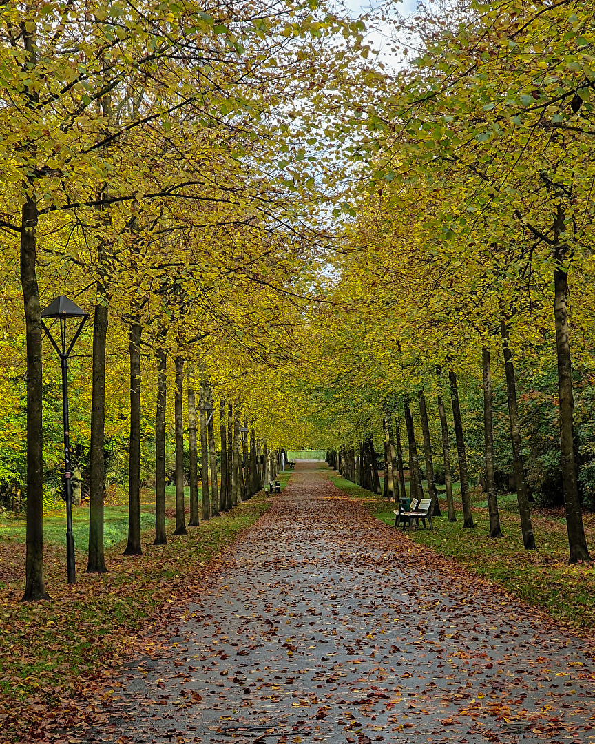 Herbst "Schloß Nordkirchen"