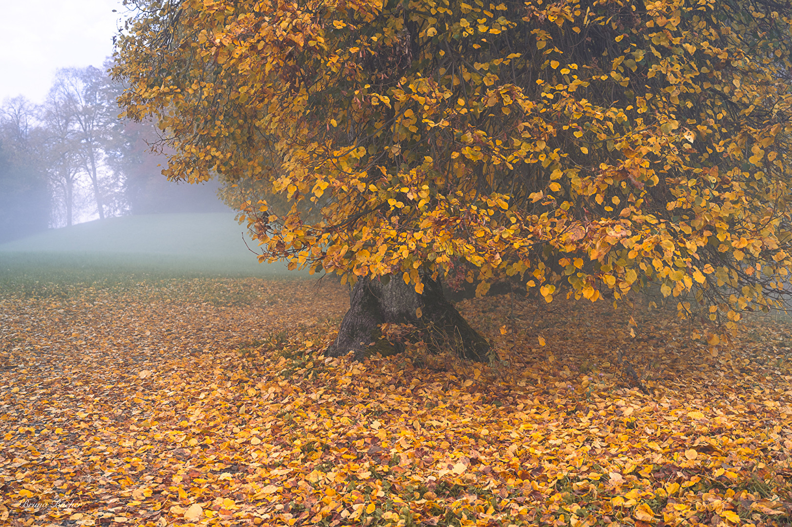 Herbst