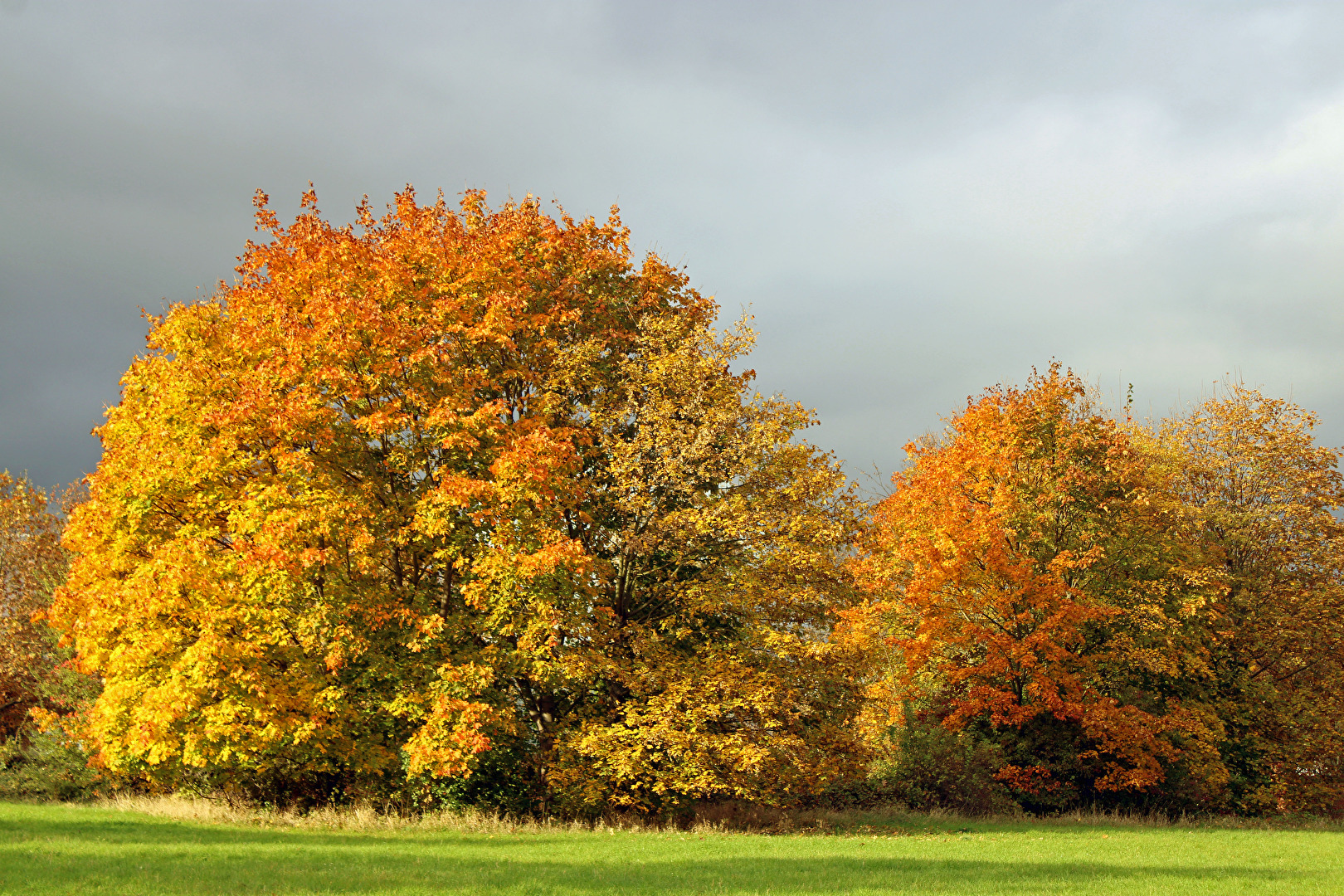 Farblicher Kontrast.