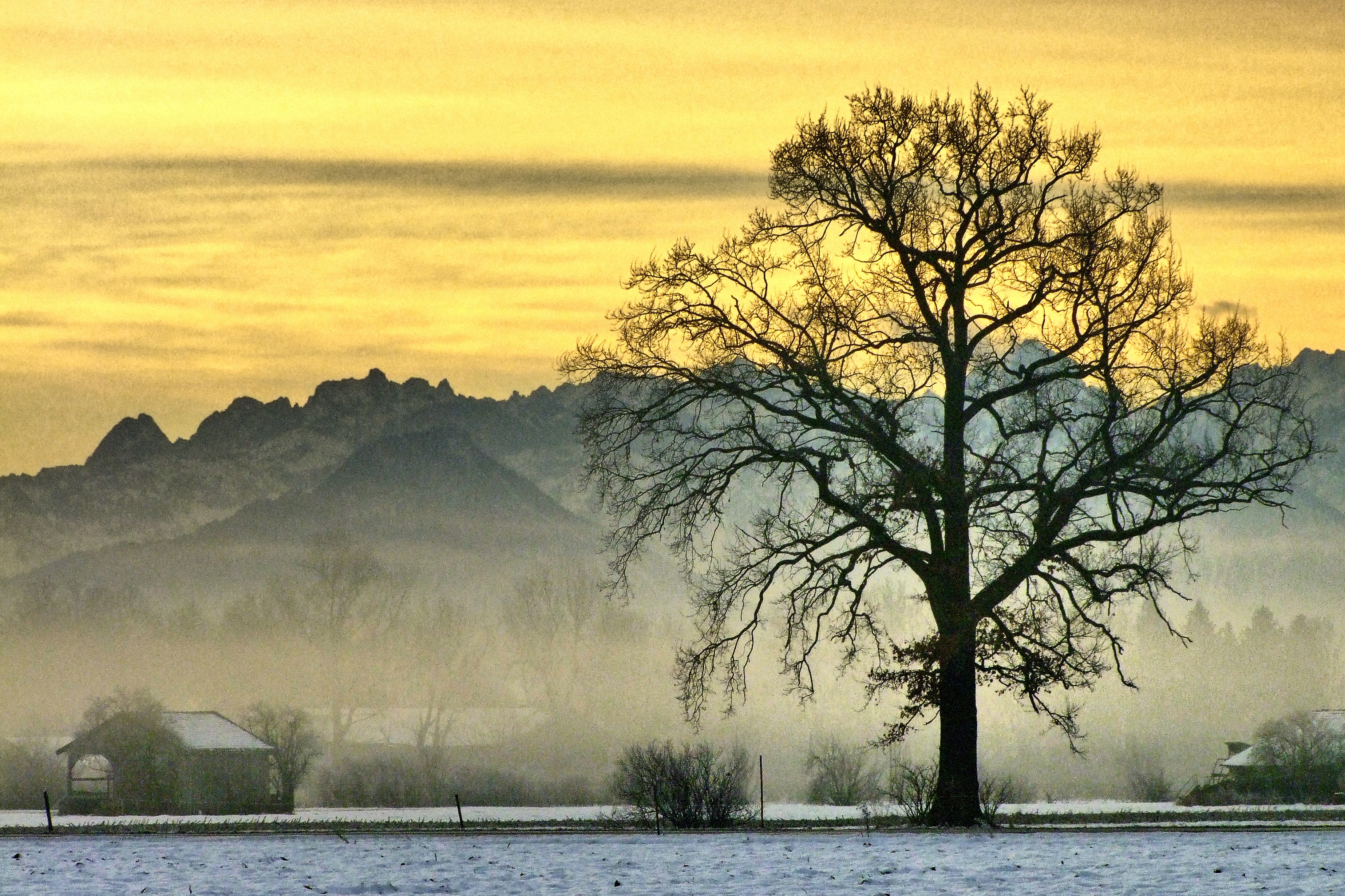 die Stille vor Sonnenaufgang