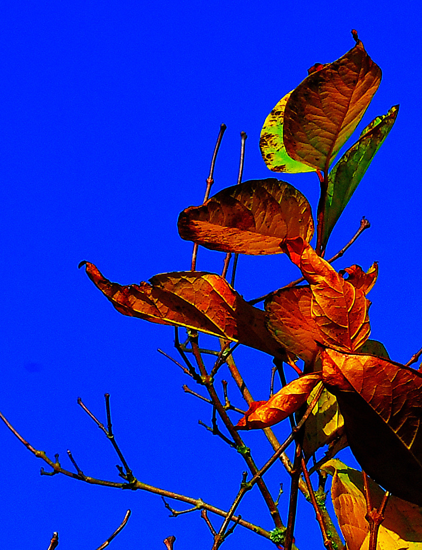 Herbstfarben