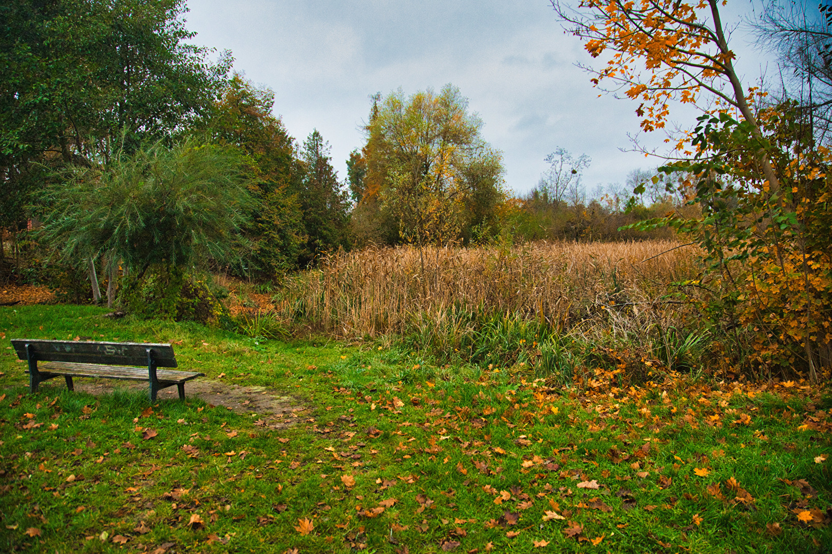 Herbst