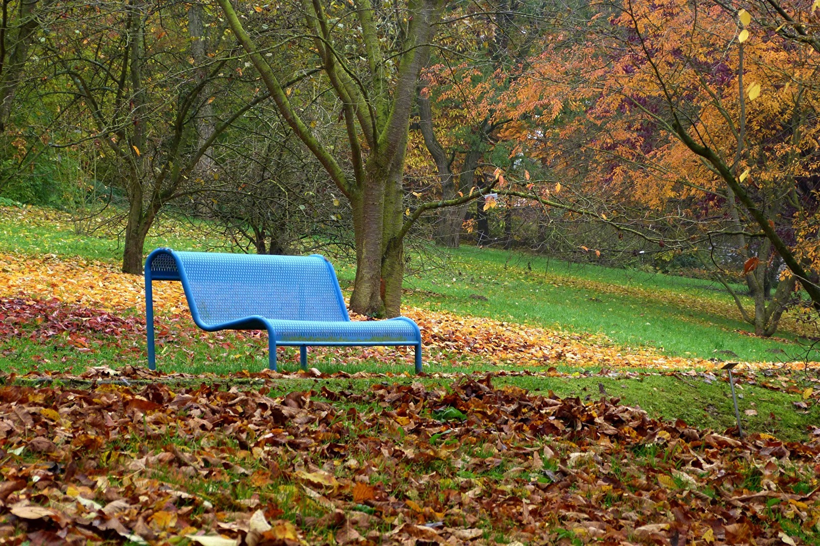 Herbstfarben mit Blau