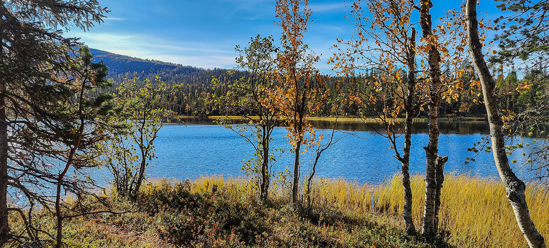 Bald ist er wieder da - der Herbst