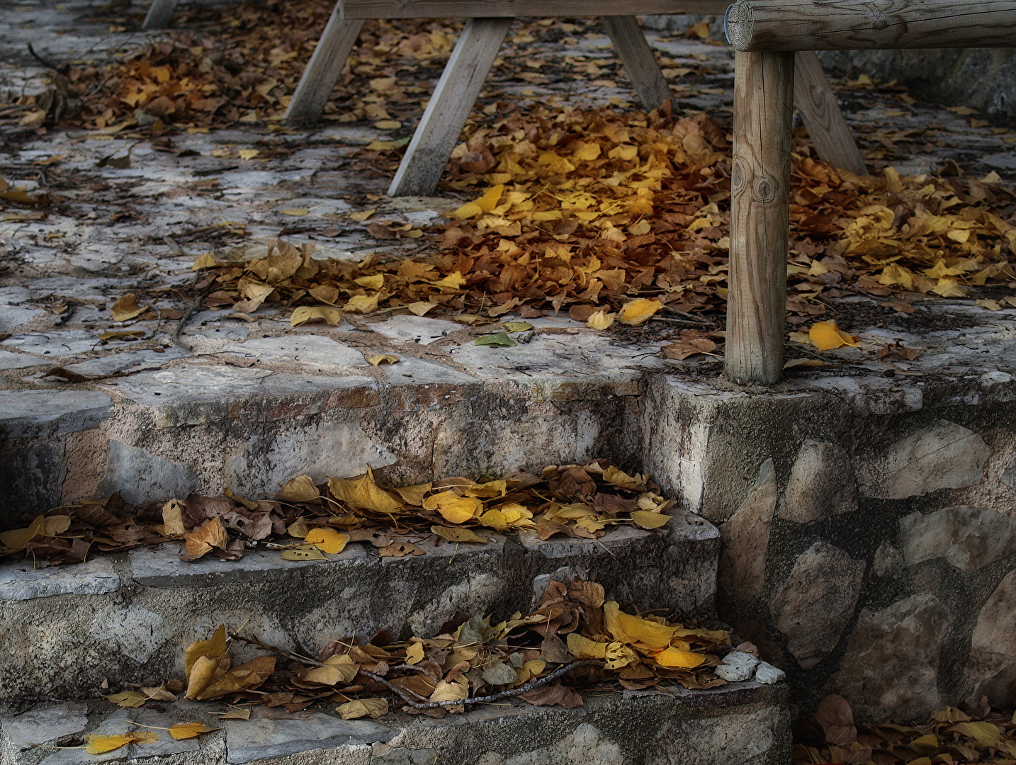 Herbstlich