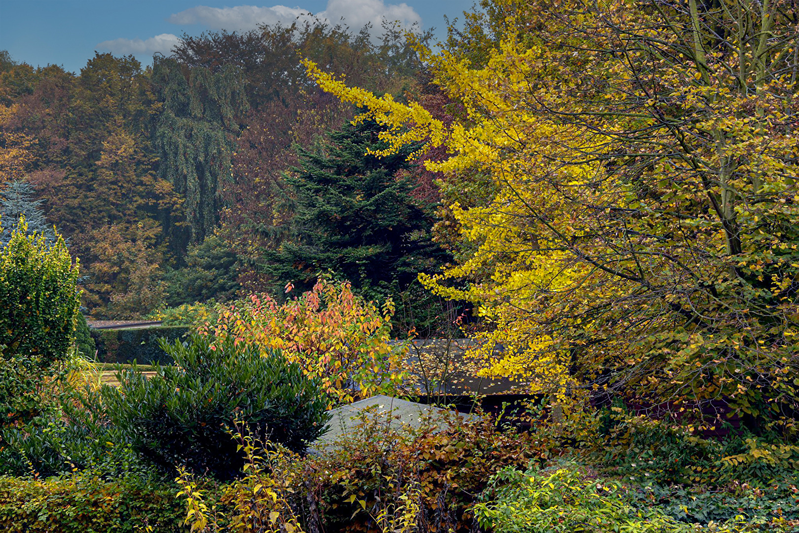 `Die Farben im OPktober . . .