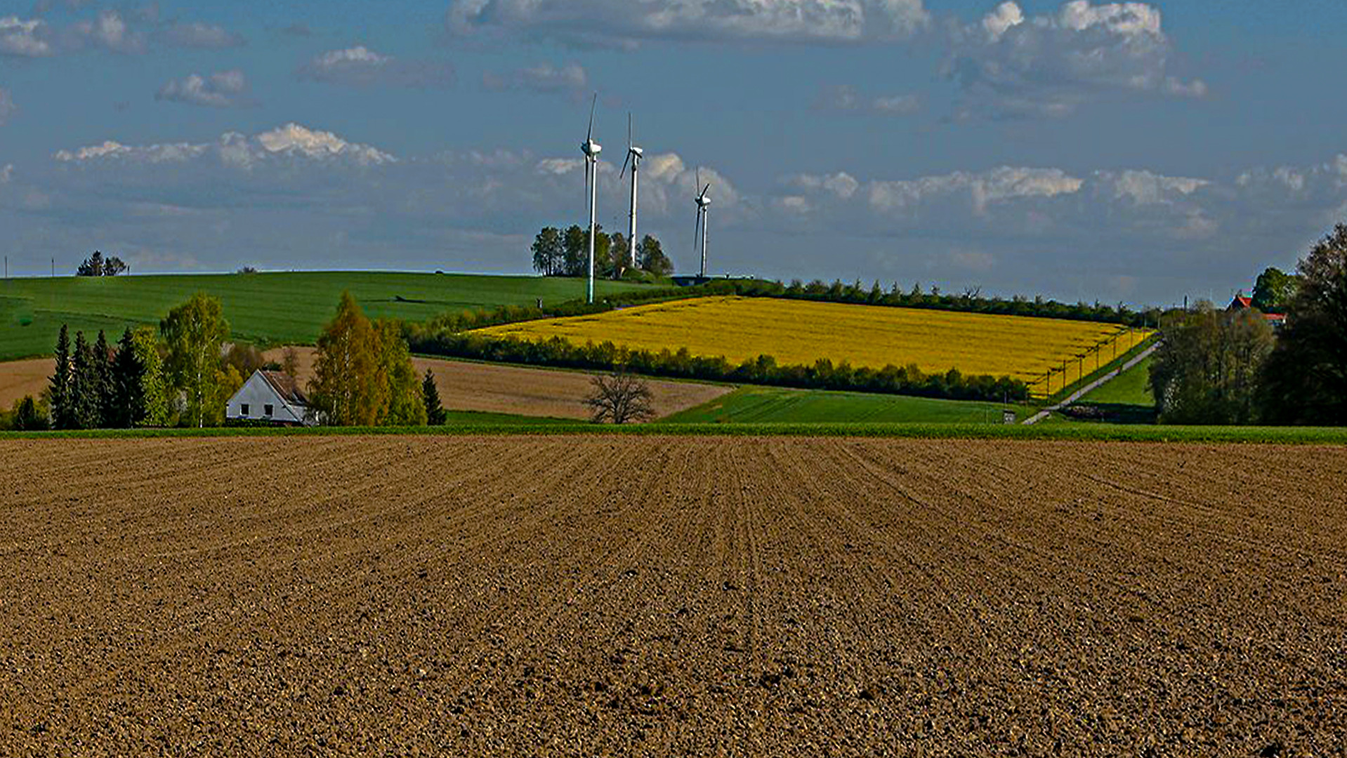 Oktober im Münsterland . . .