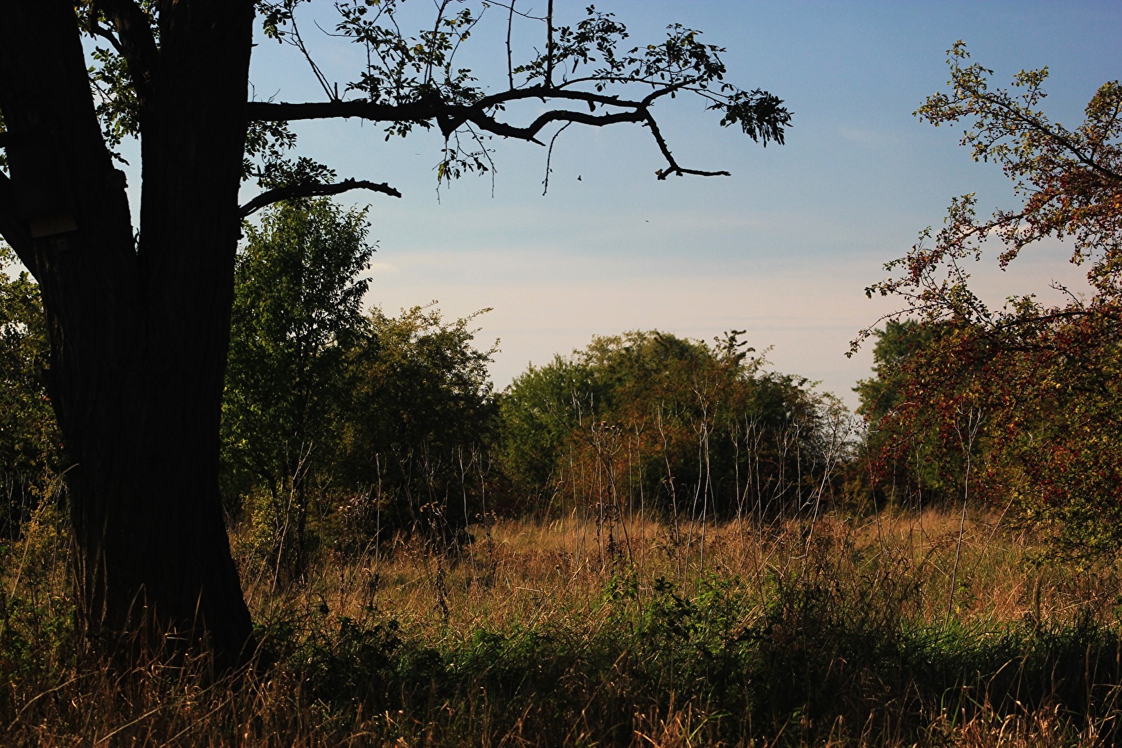 zwischen den Teichen