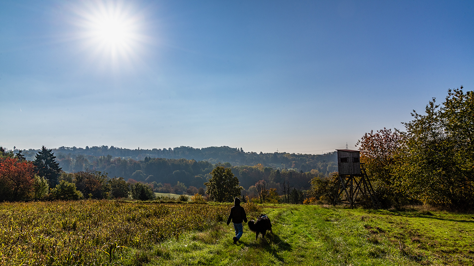 Morgenspaziergang