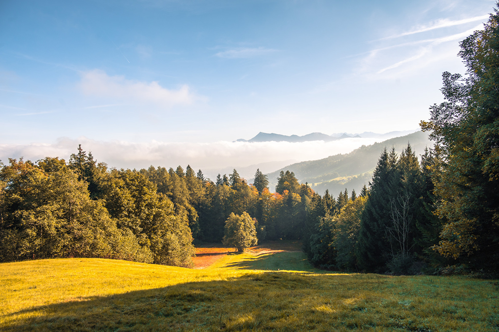 Herbst